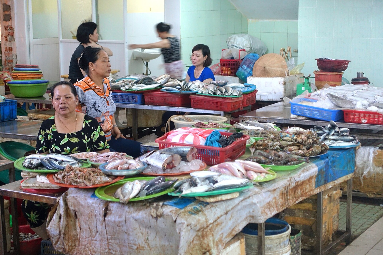 Cá Bò Hòm Hấp — đặc sản Phú Quý